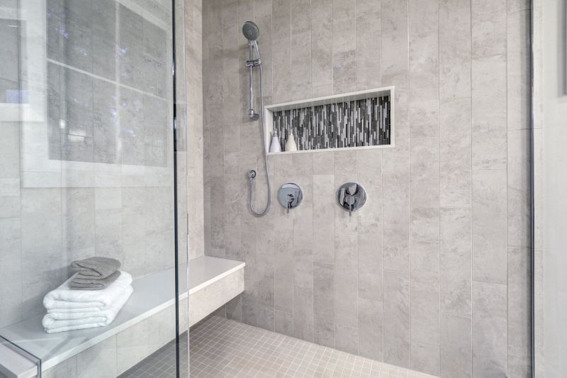 Walk-in Shower with Built-in Niche